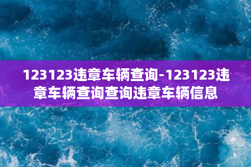 123123违章车辆查询-123123违章车辆查询查询违章车辆信息