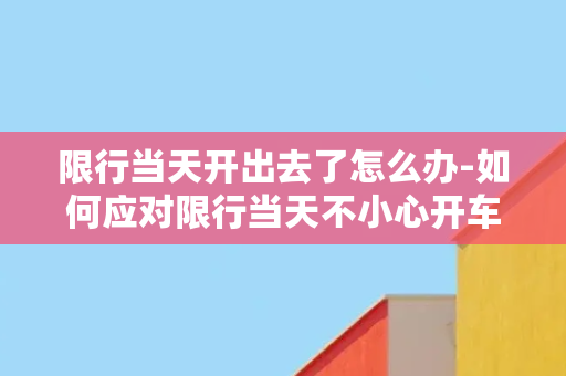 限行当天开出去了怎么办-如何应对限行当天不小心开车出门的情况？