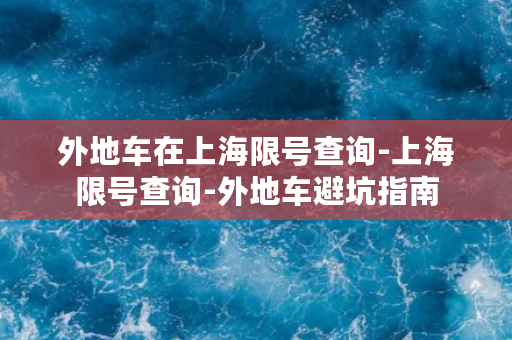 外地车在上海限号查询-上海限号查询-外地车避坑指南