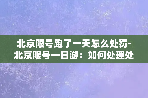 北京限号跑了一天怎么处罚-北京限号一日游：如何处理处罚？