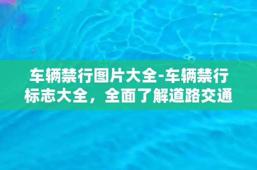 车辆禁行图片大全-车辆禁行标志大全，全面了解道路交通禁令！