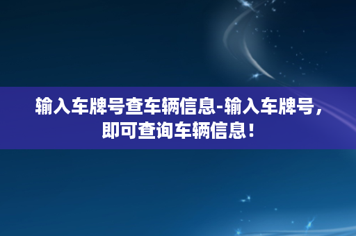 输入车牌号查车辆信息-输入车牌号，即可查询车辆信息！