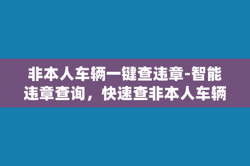 非本人车辆一键查违章-智能违章查询，快速查非本人车辆违章记录