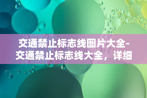 交通禁止标志线图片大全-交通禁止标志线大全，详细解读和图示