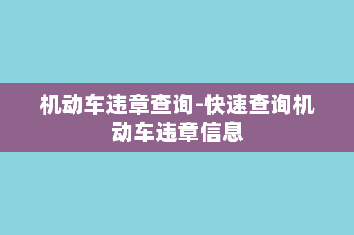 机动车违章查询-快速查询机动车违章信息