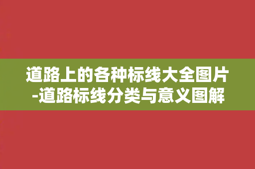 道路上的各种标线大全图片-道路标线分类与意义图解，更好理解交通规则