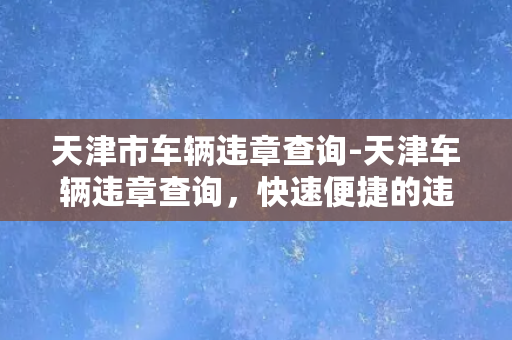 天津市车辆违章查询-天津车辆违章查询，快速便捷的违章查询服务