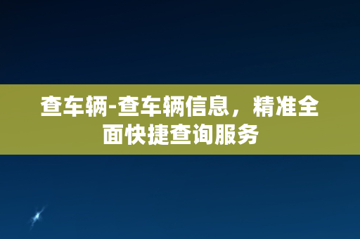 查车辆-查车辆信息，精准全面快捷查询服务