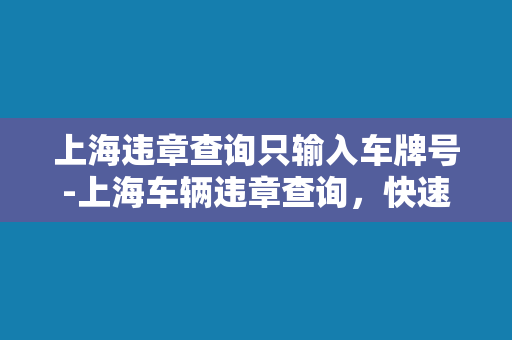 上海违章查询只输入车牌号-上海车辆违章查询，快速查询您的交通违章记录