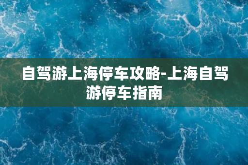 自驾游上海停车攻略-上海自驾游停车指南