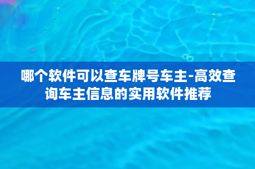 哪个软件可以查车牌号车主-高效查询车主信息的实用软件推荐