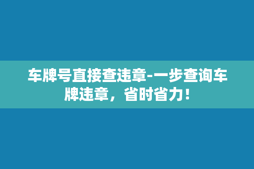 车牌号直接查违章-一步查询车牌违章，省时省力！