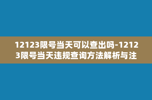 12123限号当天可以查出吗-12123限号当天违规查询方法解析与注意事项！