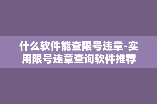 什么软件能查限号违章-实用限号违章查询软件推荐