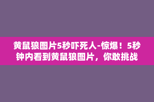 黄鼠狼图片5秒吓死人-惊爆！5秒钟内看到黄鼠狼图片，你敢挑战吗？