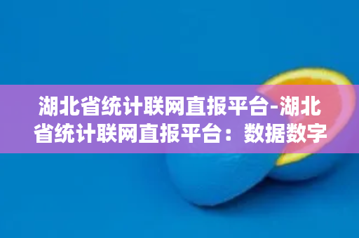 湖北省统计联网直报平台-湖北省统计联网直报平台：数据数字化高效便捷化